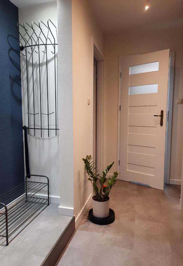 Apartament W Centrum Wroclawia Apartment Exterior photo
